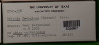 Image Associated With the Occurence
